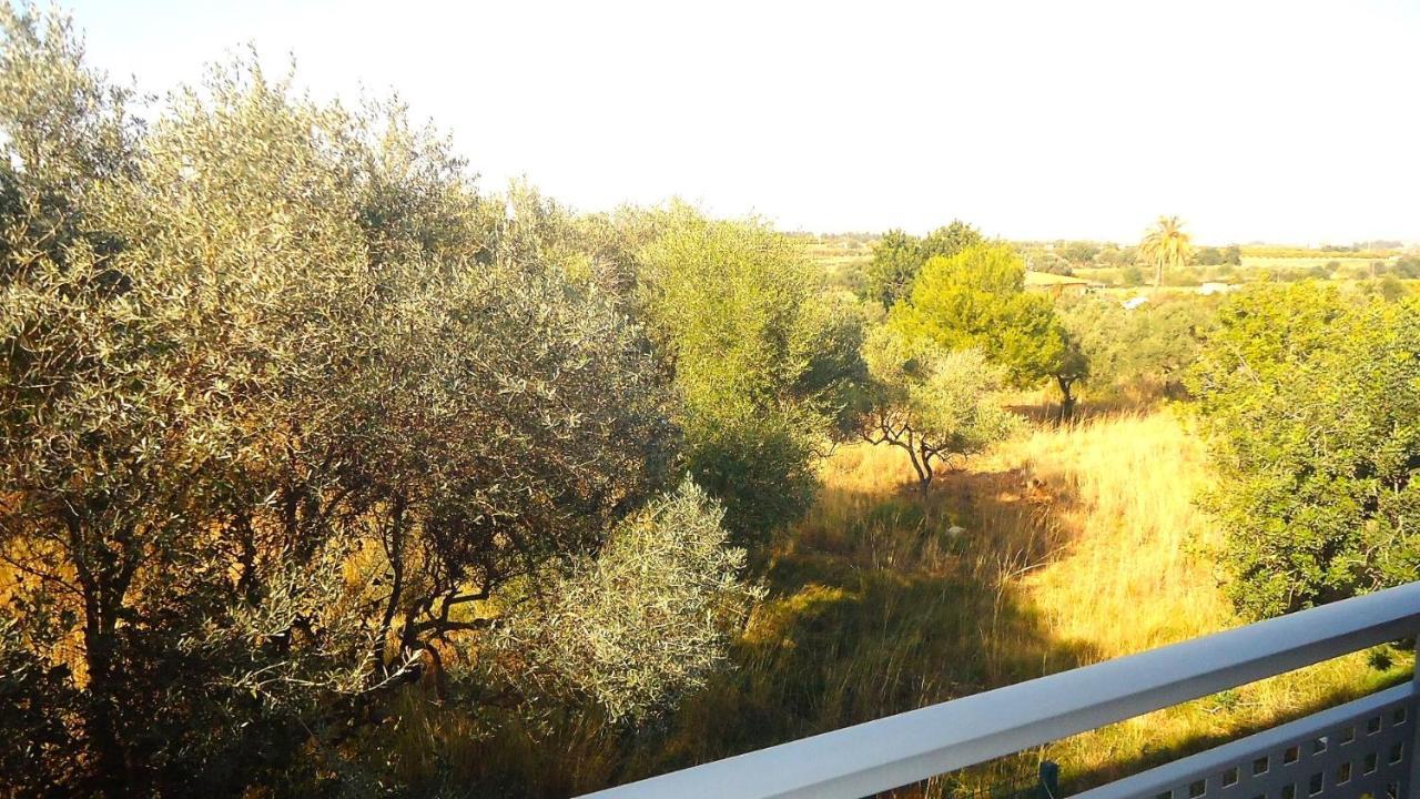 Terravita Residencial Lek Peñíscola Buitenkant foto